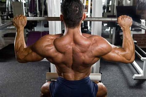 Top 10 trapezius muscle exercises to stay in shape