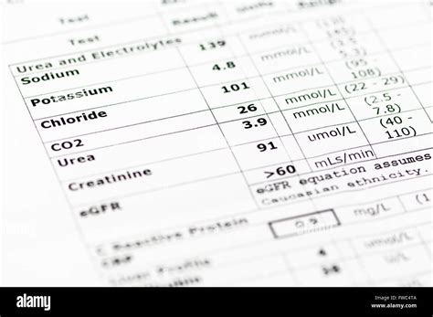 Blood chemistry report showing normal urea and electrolyte levels Stock ...