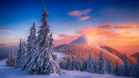 1920x1080 Snowy Pine Trees And Mountains 4k Laptop Full HD 1080P ,HD 4k ...