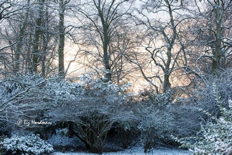 Kew Gardens in early March – Nature on the Edge