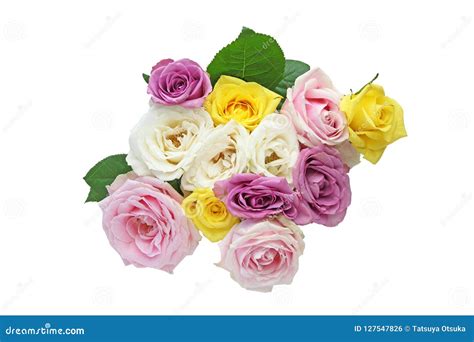 Bouquet Of Roses In A White Background Stock Photo - Image of shot ...