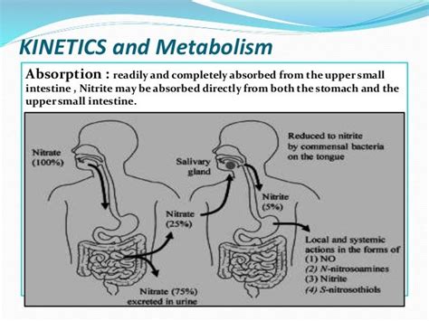 Nitrate and Nitrite poisoning