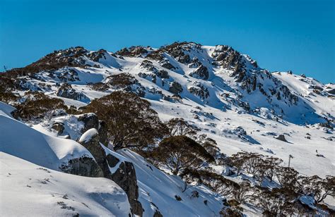 Snowy Mountains | NSW National Parks