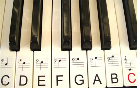 KEYBOARD PIANO LABELS STICKERS FOR BLACK AND WHITE KEYS OF 61 KEY PIANO ...