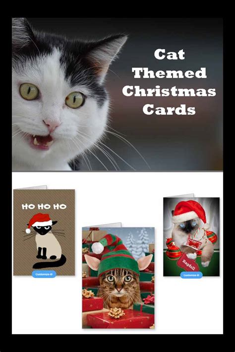 Cat Christmas Greeting Cards Are Purrfect! - The Cool Card Shop