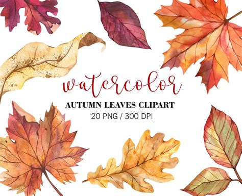 Watercolor Fall Leaves Clipart Fall Clipart Autumn Decor - Etsy