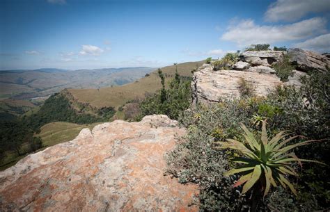 Things to Do in Ermelo, Mpumalanga, South Africa