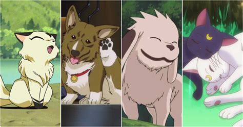 10 Most Iconic Pets In Anime History, Ranked