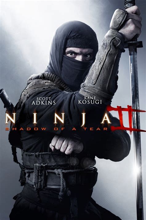 Ninja Assassin Poster