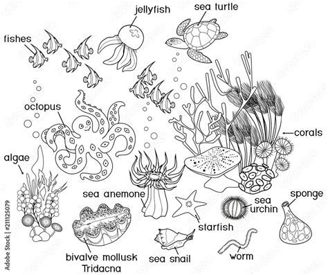 Coloring page. Ecosystem of coral reef with different marine ...