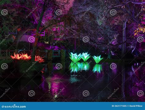 Japanese Gardens of the Fort Worth Botanic Gardens Illuminated by ...