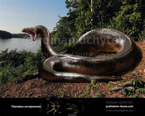 Titanoboa | Prehistoric animals, Prehistoric creatures, Prehistoric