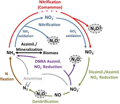 Mechanisms of nitrous oxide formation in biofilm processes