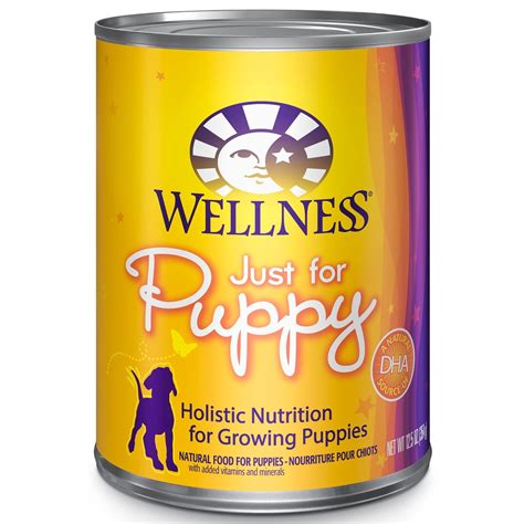 The Best Canned Dog Food for a Healthy and Balanced Diet