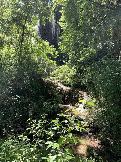 Photos of Gorman Falls Trail - Texas | AllTrails