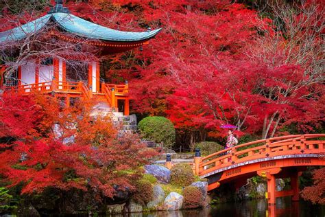 Fall Foliage in Japan: Where to Go, What to Do, the Weather & More ...