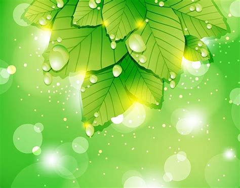 Vector Backgrounds: 35 Free Vector Art & Vector Graphics Graphic Design ...