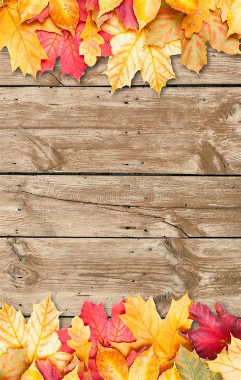 Autumn Leaves Background - Wooden Planks with Copy Space