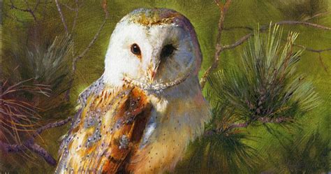 Barn Owl Oil Painting-A Celebration of Nature | David Crane