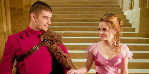 Harry Potter: 5 Couples Everyone Loved (& 5 That Were Just Annoying)