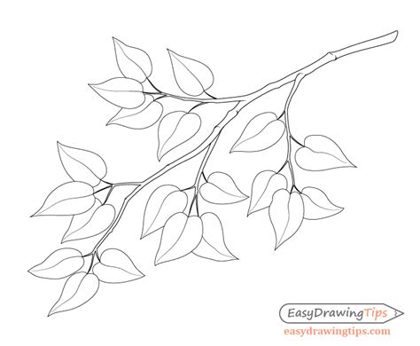 How To Draw A Tree Branch With Leaves