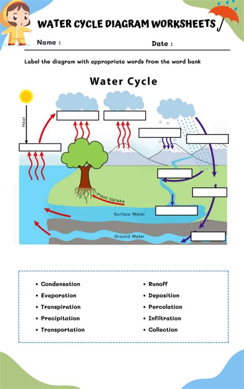 Water Cycle Diagram Worksheets | WorksheetsGO