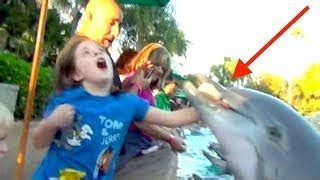 Le Fishe Thread - Dolphins are evil | Page 6 | Worstgen