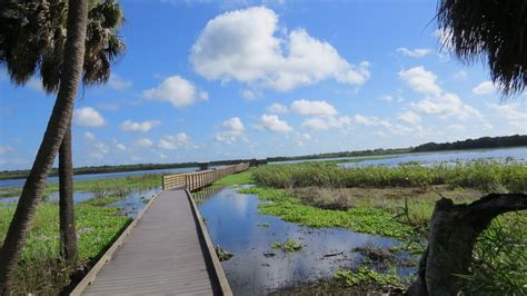 Bird Tweets: Myakka River State Park