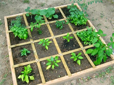 How To Plan A Square Foot Vegetable Garden - The Easiest Way To Grow ...