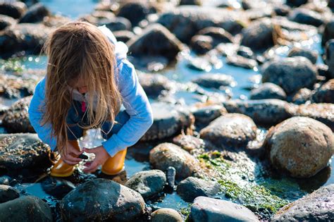 Developing a Sense of Place – Playful Learning