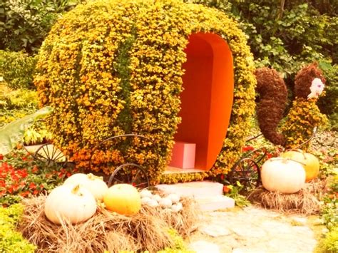 Largest Pumpkin Carving | Singapore Book Of Records