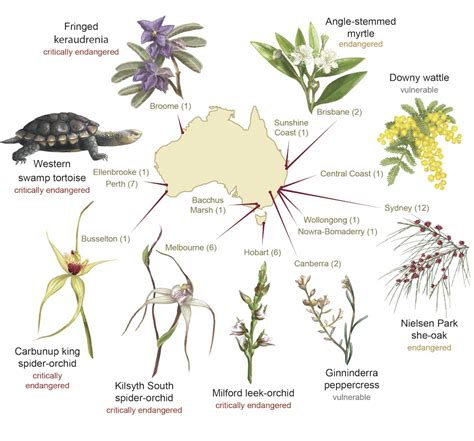 The 39 endangered species in Melbourne, Sydney, Adelaide and other ...