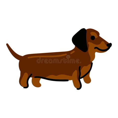 Dachshund Vector Illustration Isolated On White Background In Cartoon