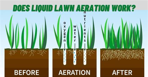 Does liquid lawn aeration work? Why do people prefer it? - Lawn Gardeners