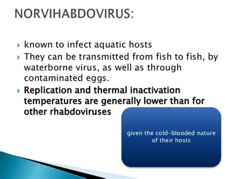 Rhabdoviridae ppt