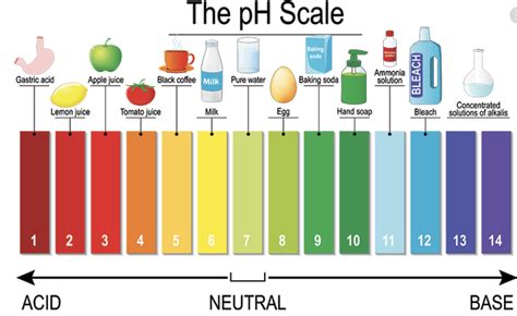 pH Scale