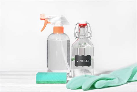 Does Vinegar Kill Mold on Fabric?