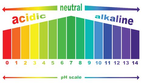 PH Scale PNG