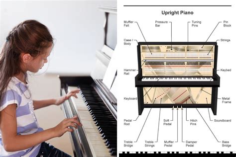 Grand Piano Keys Layout