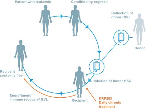 Hematopoietic Cell Transplantation | Priothera