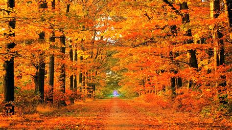 🔥 [50+] Windows Autumn Desktop Wallpapers | WallpaperSafari