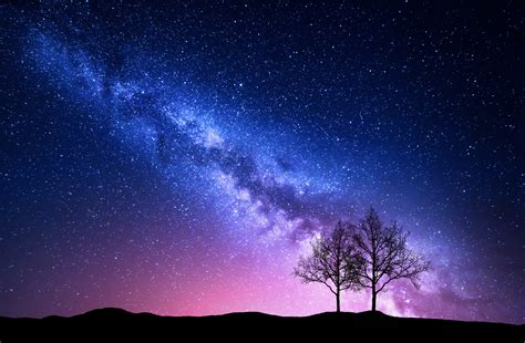 Starry sky with pink Milky Way and trees. Night landscape – Enlightened ...