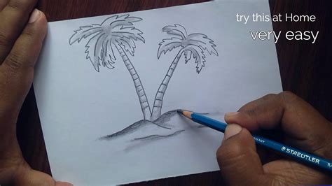 How To Draw A Palmetto Tree - Northernpossession24