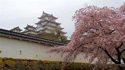 Wallpaper ID: 1213732 / 4K, cherry blossom, japan, nature, building ...