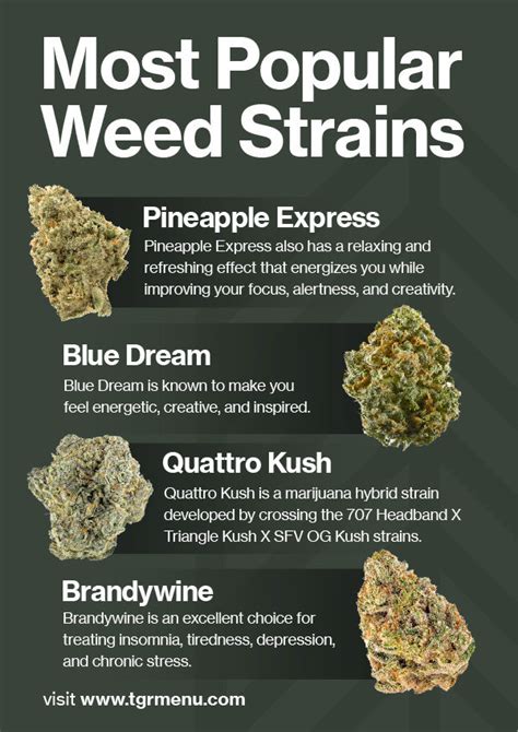 Most Popular Weed Strains Official 2022 List