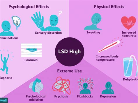 The Effects of LSD on the Brain – The Keynote