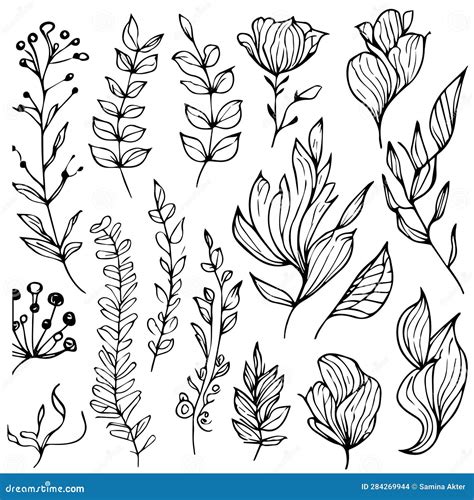 Simple Botanical Line Drawing, Simple Botanical Flower Drawings, Easy ...