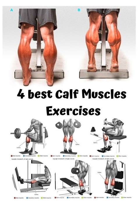 Calf Muscle Exercises