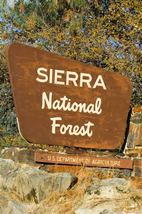 Sierra National Forest