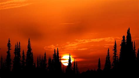 Orange Sunset Wallpapers - Top Free Orange Sunset Backgrounds ...